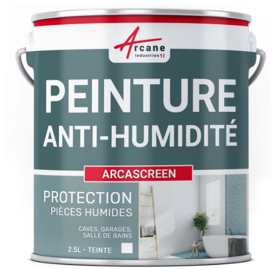 peinture anti humidité